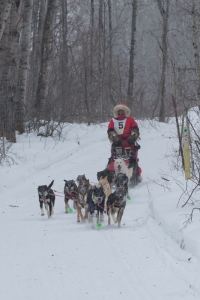 CANADIAN CHALLENGE INTERNATIONAL SLED DOG RACE 2015
