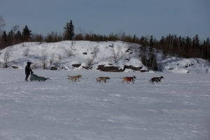CANADIAN CHALLENGE INTERNATIONAL SLED DOG RACE 2018