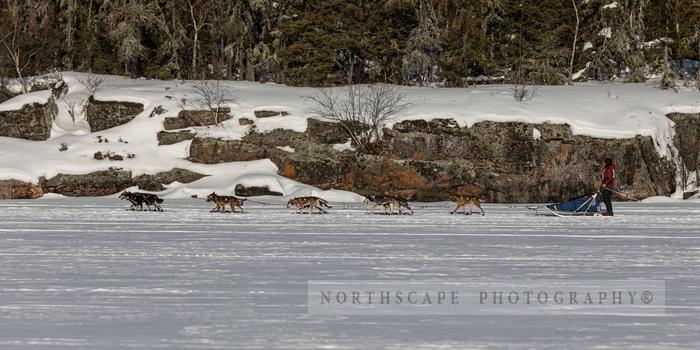 Canadian Challenge International Dog Sled Race 2020;Jesse Terry