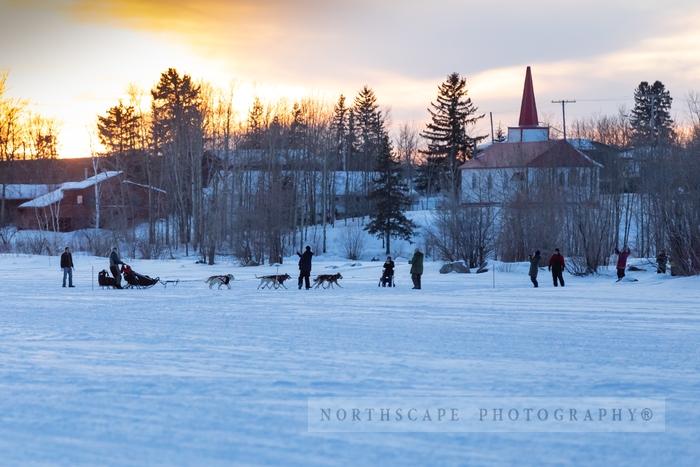 Canadian Challenge International Dog Sled Race 2020;Clayton Perry
