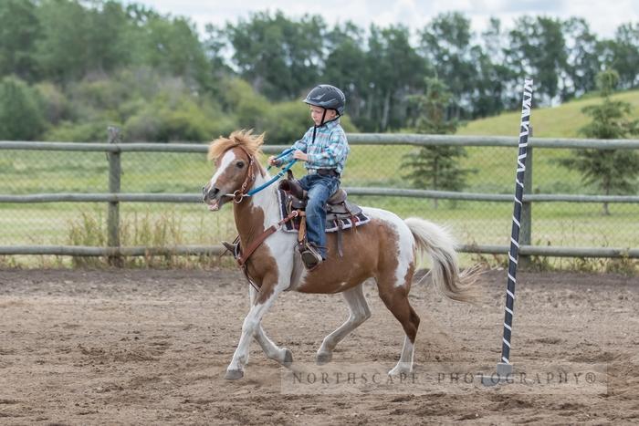 Porcupine Plain Rodeo 2017