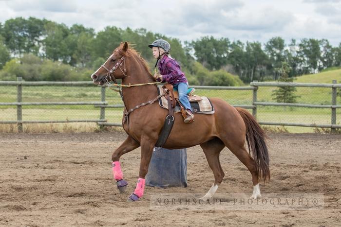 Porcupine Plain Rodeo 2017