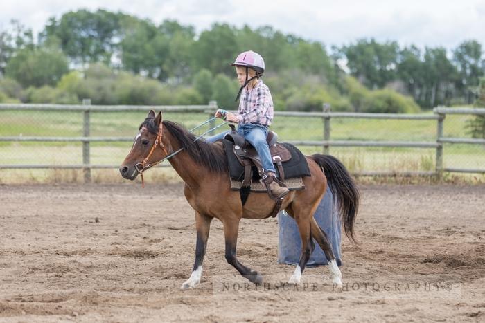 Porcupine Plain Rodeo 2017