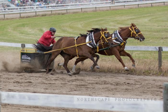Porcupine Plain Rodeo 2017