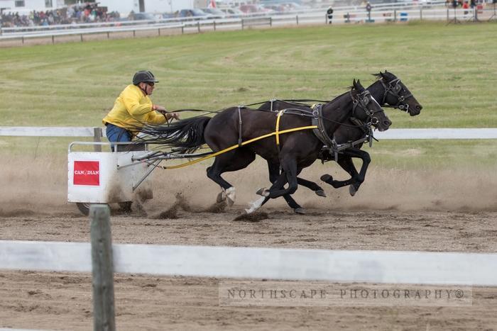 Porcupine Plain Rodeo 2017