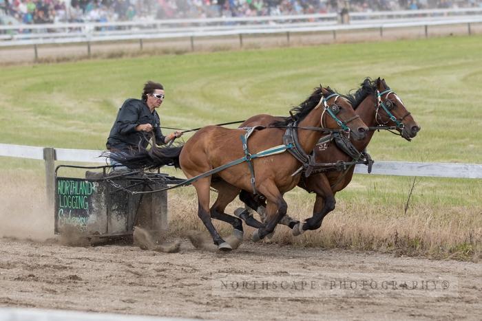 Porcupine Plain Rodeo 2017