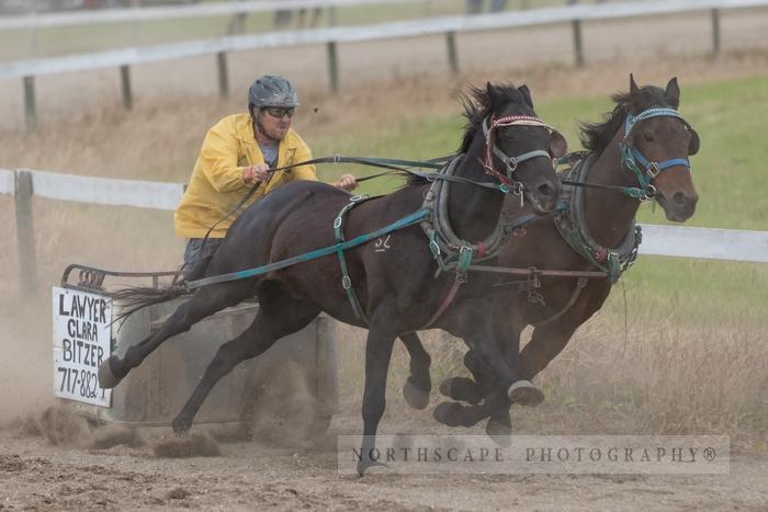 Porcupine Plain Rodeo 2017