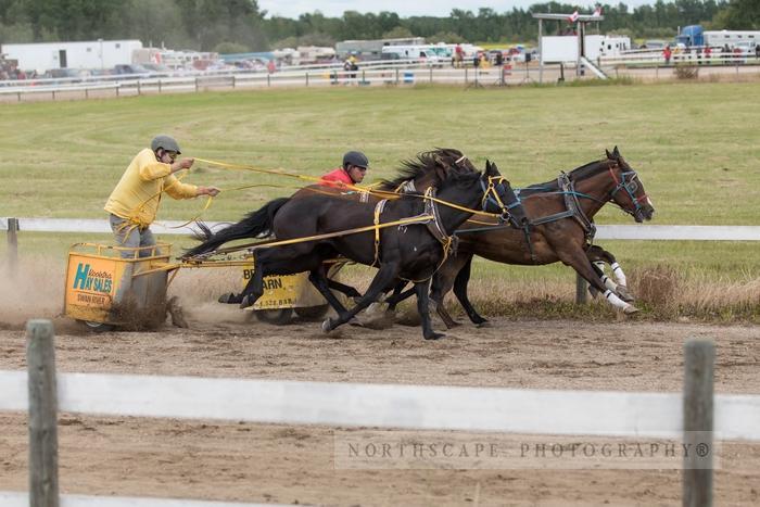 Porcupine Plain Rodeo 2017