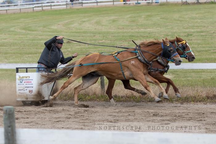 Porcupine Plain Rodeo 2017