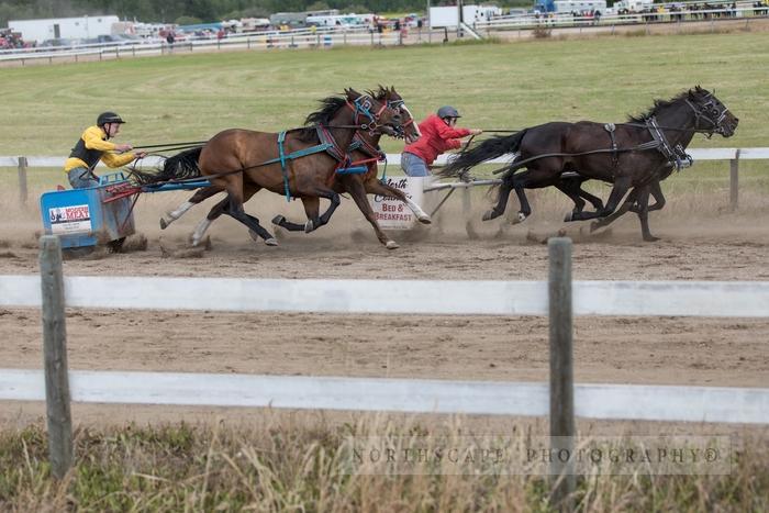 Porcupine Plain Rodeo 2017