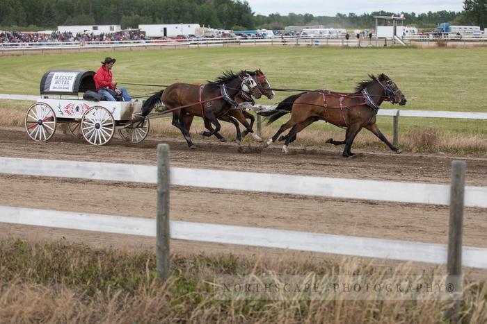 Porcupine Plain Rodeo 2017