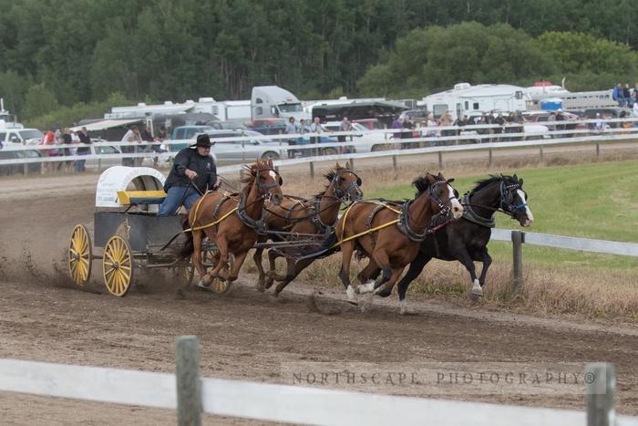 Porcupine Plain Rodeo 2017