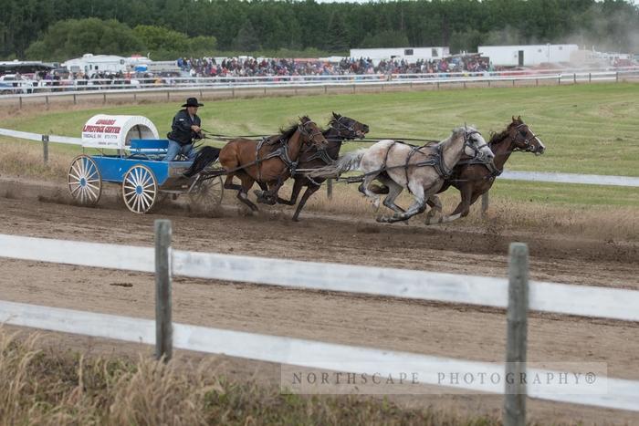 Porcupine Plain Rodeo 2017