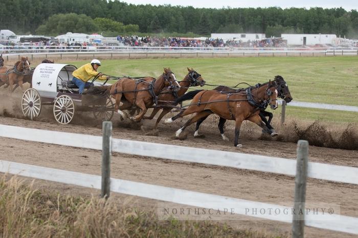 Porcupine Plain Rodeo 2017