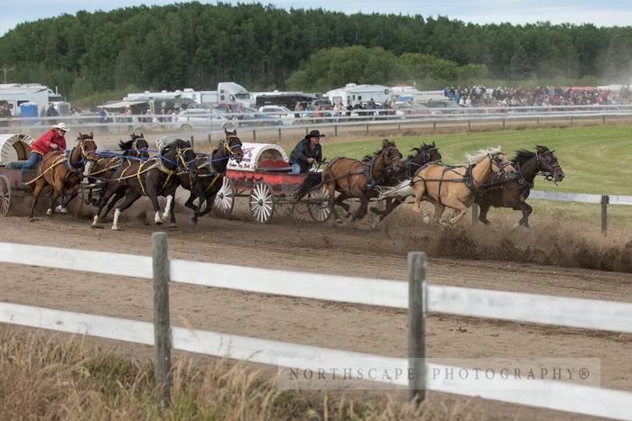 Porcupine Plain Rodeo 2017