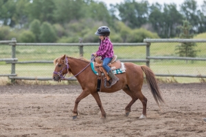 Porcupine-Plain-Rodeo-2017