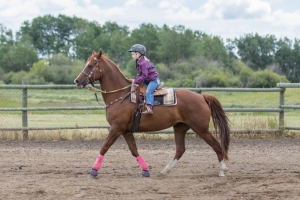 Porcupine-Plain-Rodeo-2017