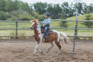 Porcupine-Plain-Rodeo-2017