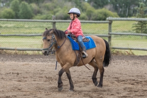 Porcupine-Plain-Rodeo-2017