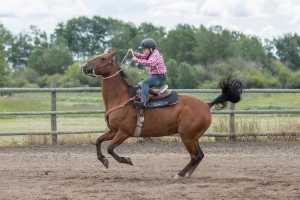 Porcupine-Plain-Rodeo-2017