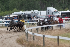 Porcupine-Plain-Rodeo-2017