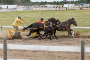 PORCUPINE PLAIN - QUILLY DAYS RODEO 2017