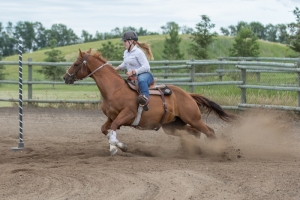 Porcupine-Plain-Rodeo-2017
