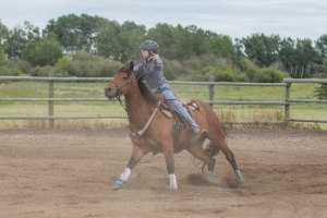 Porcupine-Plain-Rodeo-2017