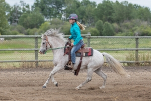 Porcupine-Plain-Rodeo-2017