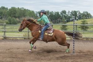 Porcupine-Plain-Rodeo-2017