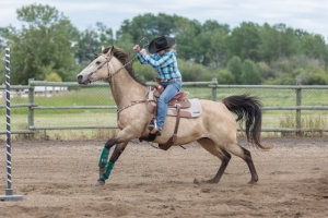 Porcupine-Plain-Rodeo-2017