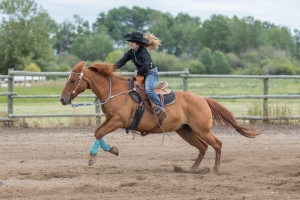 Porcupine-Plain-Rodeo-2017