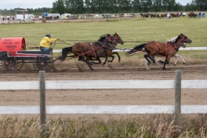 Porcupine-Plain-Rodeo-2017