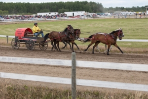 Porcupine-Plain-Rodeo-2017