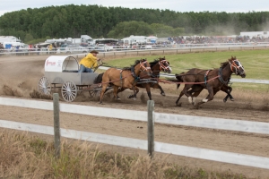 Porcupine-Plain-Rodeo-2017