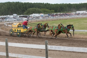 Porcupine-Plain-Rodeo-2017