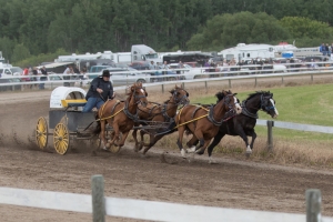 Porcupine-Plain-Rodeo-2017
