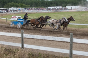 Porcupine-Plain-Rodeo-2017