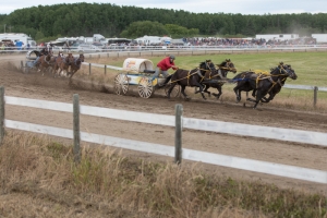 Porcupine-Plain-Rodeo-2017