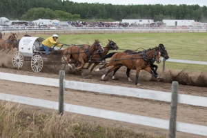 Porcupine-Plain-Rodeo-2017