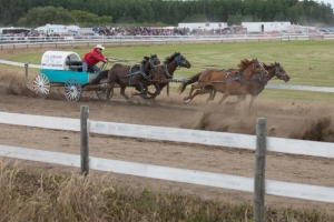 Porcupine-Plain-Rodeo-2017