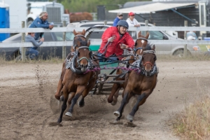 Porcupine-Plain-Rodeo-2017