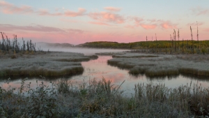 FINE ART PHOTOGRAPHY